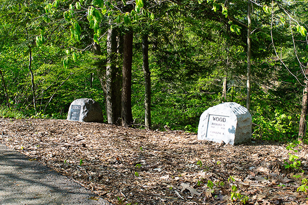 NIche Boulders at All Aouls Nature Trail