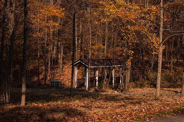Bridge at All Souls Nature Trail