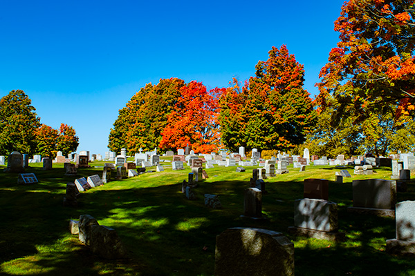 Holy Cross Cemetery Akron in Fall